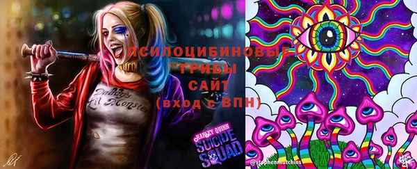 эйфоретик Арсеньев