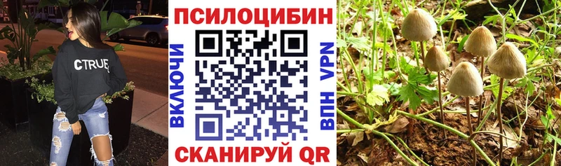 мега ссылки  Феодосия  Псилоцибиновые грибы ЛСД 